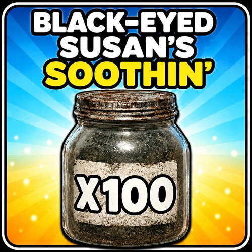 Fallout x100 black - fallout, pc